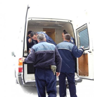 Un individ beat a intrat într-o curte şi s-a apucat să distrugă ce i-a picat la mână